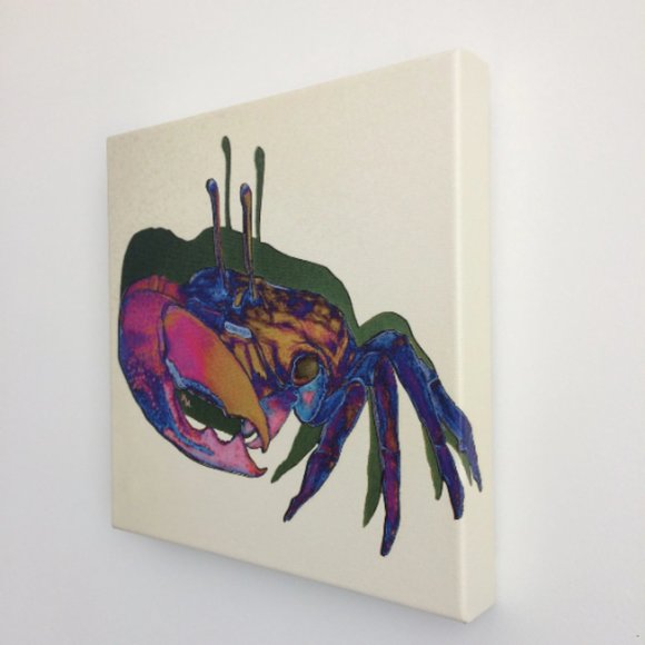 Fiddler Crab - Original Wall Art print on 12 x 12 canvas - Picture 3 of 6